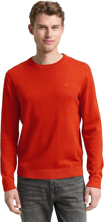 Muški dzemper brenda Tom Tailor 1039810 38769